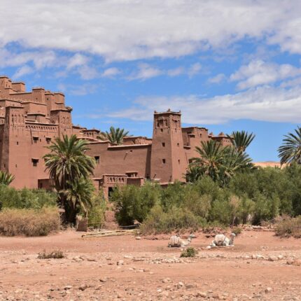 Morocco Trip experts