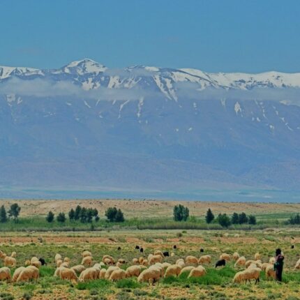 tour from tangier