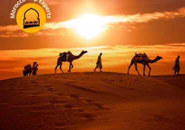 Morocco Desert Experience: Camel Treks, Luxury Camps & Berber Nights