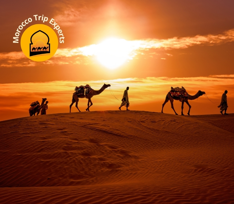Morocco Desert Experience: Camel Treks, Luxury Camps & Berber Nights
